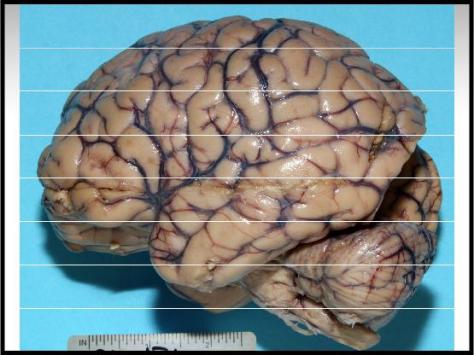 Forensics Part 2, Question #7