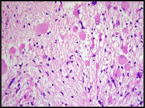 Forensics Part 2, Question #8