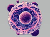 New Partnership To Advance Predictive Ai Models In Oncology Trials