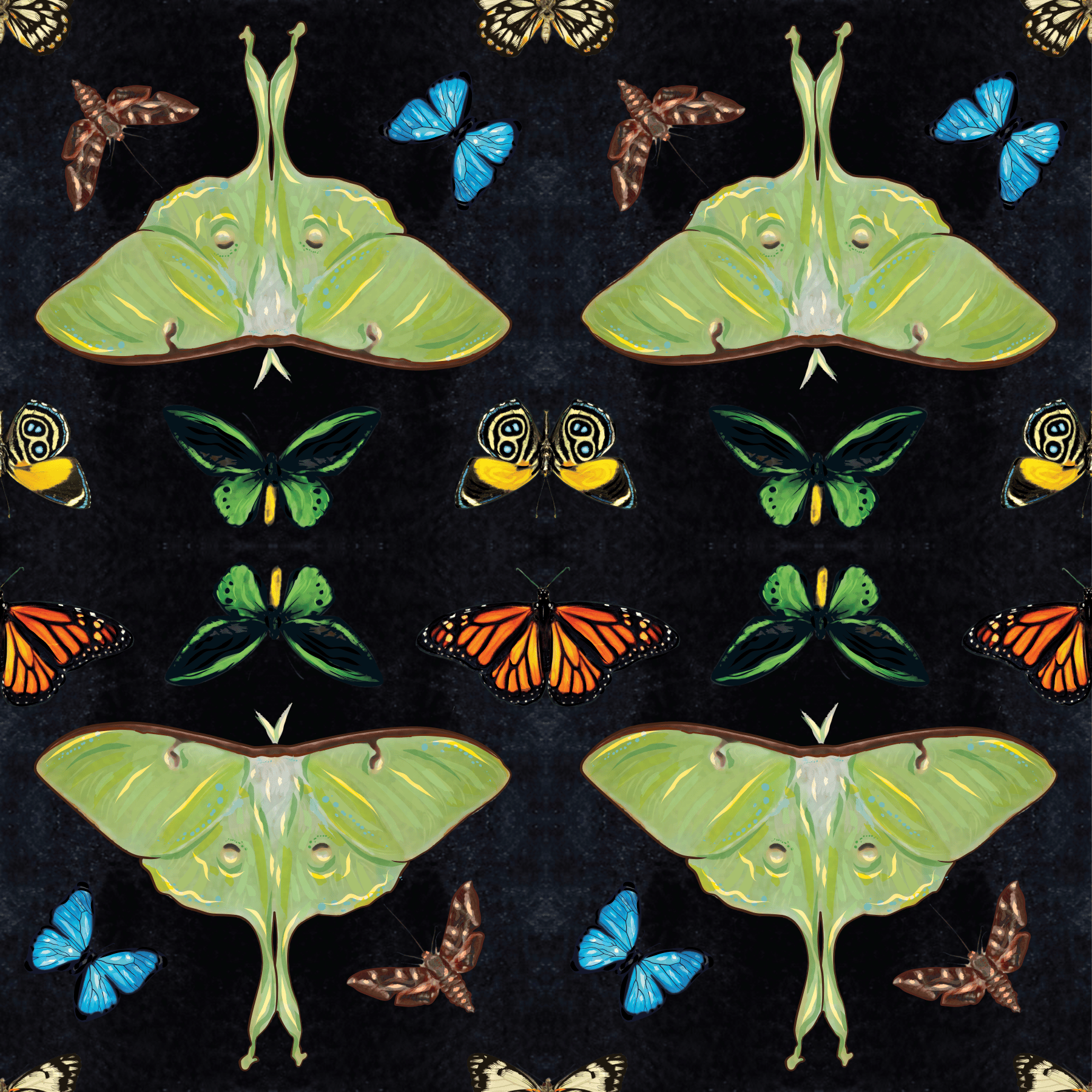 Paul S OConnor Midnight Moths Textile Print Pattern