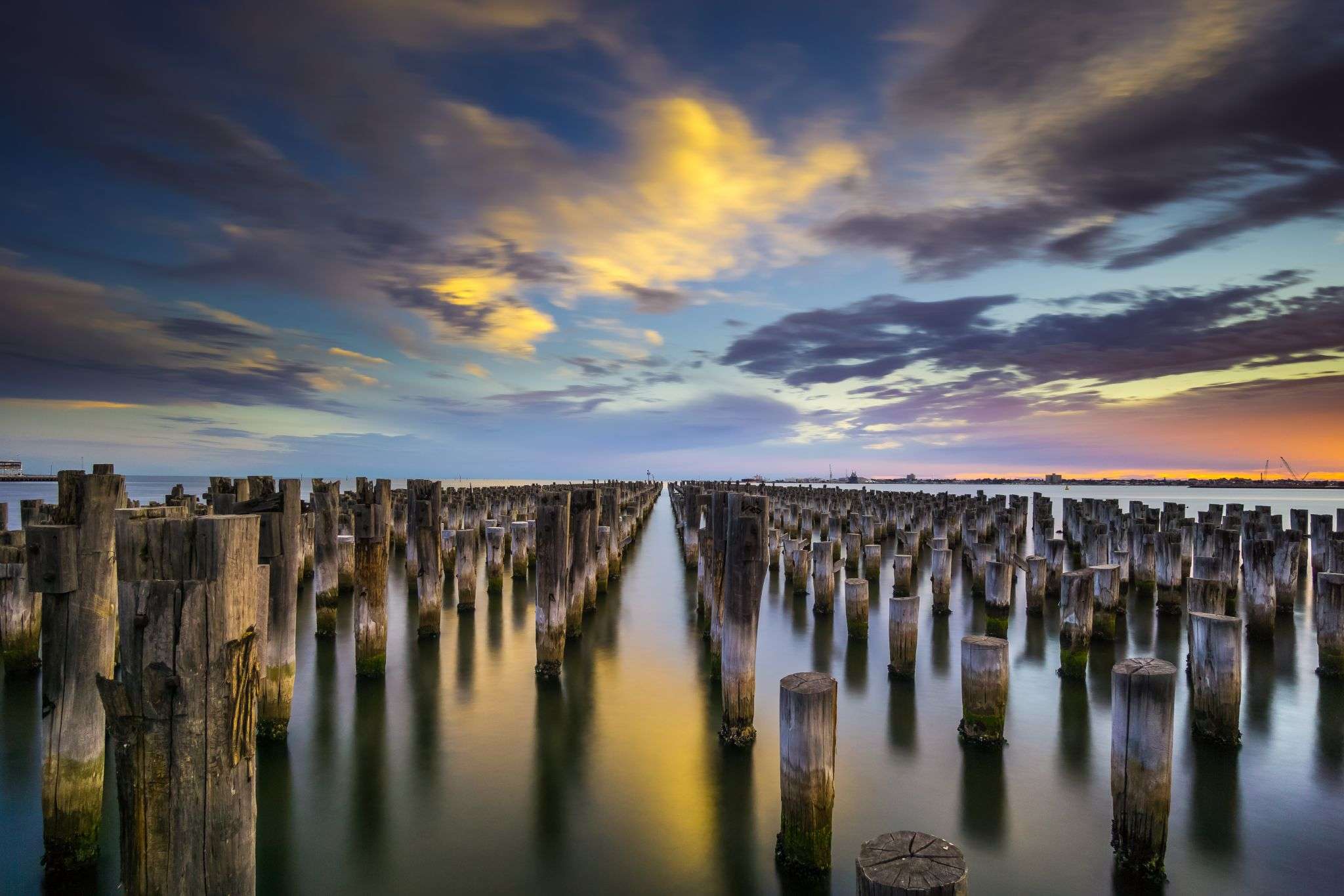 Discover the Delights of Port Melbourne Dog Beach