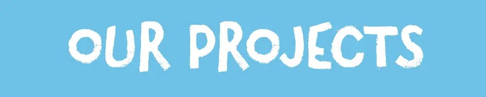 Our projects