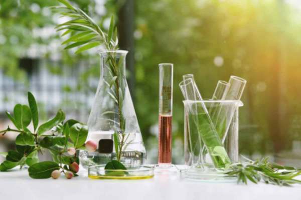 herbs, bottles and jars with different types of oils. Alternative medicine concept.
