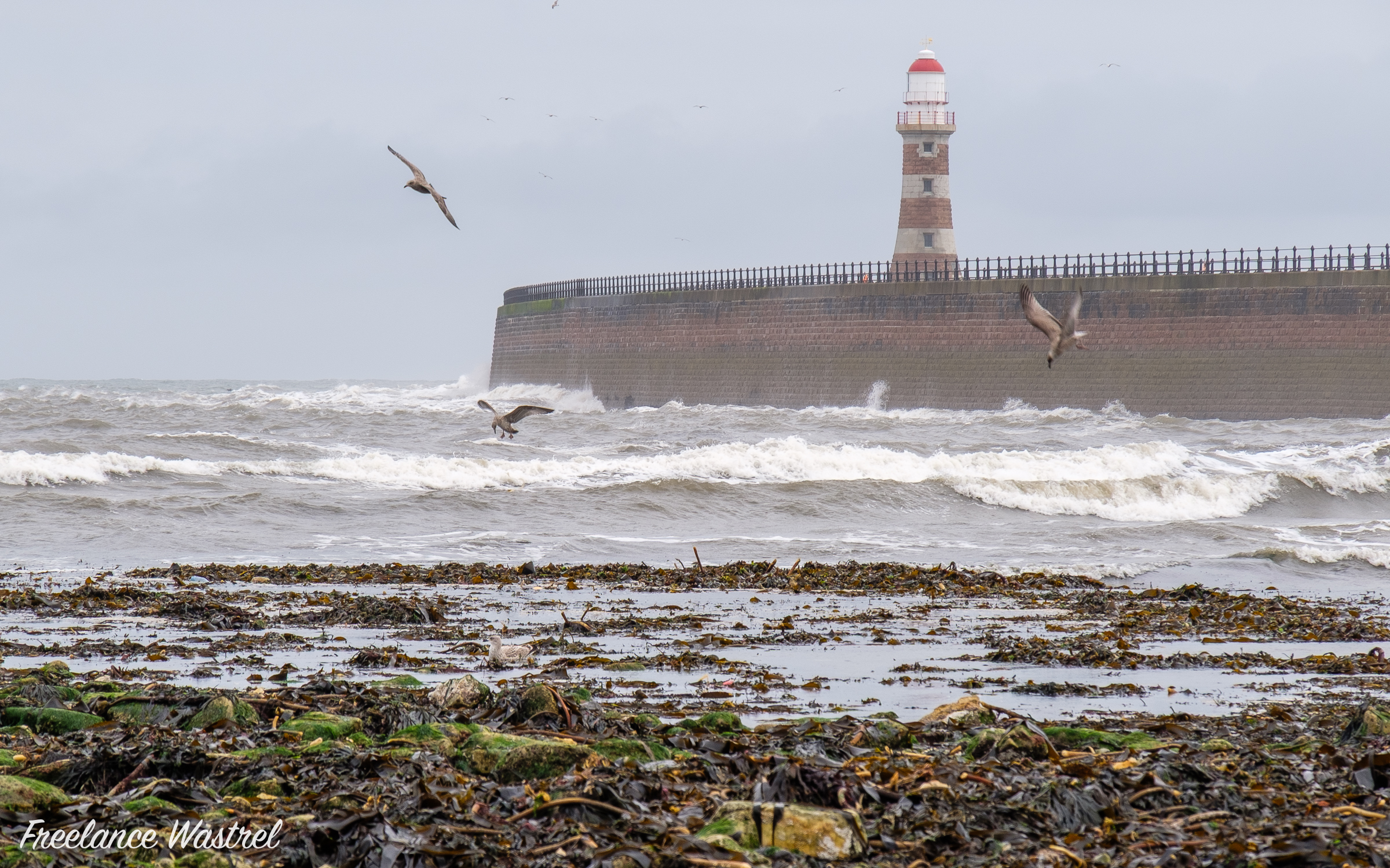 Roker Lighthouse, August 2021