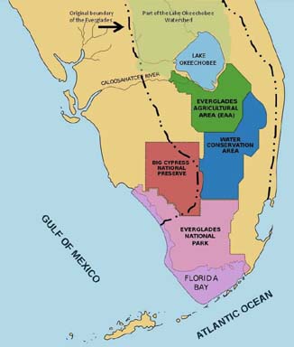 Geography The Everglades GEO041 