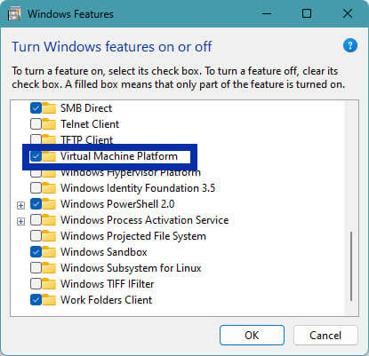 check-virtual-machine-platform