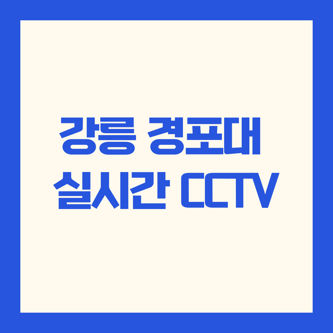 강릉 경포대 실시간 CCTV