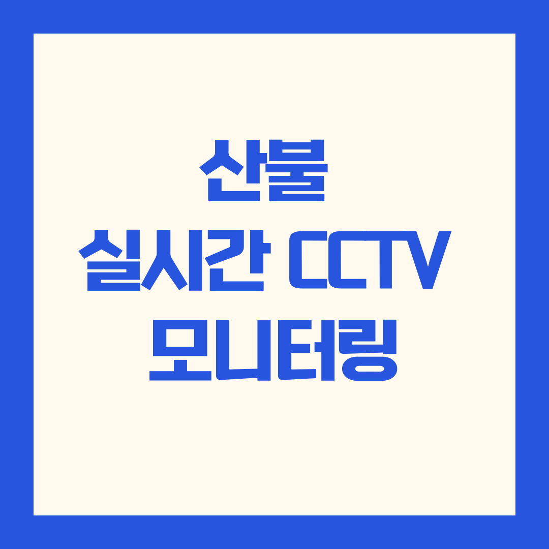 산불 실시간 CCTV 모니터링