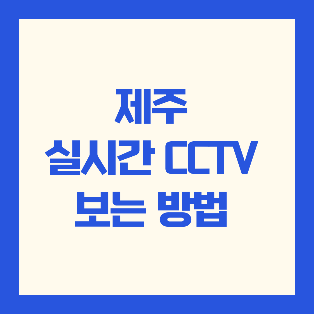 제주 실시간 CCTV 보는 방법