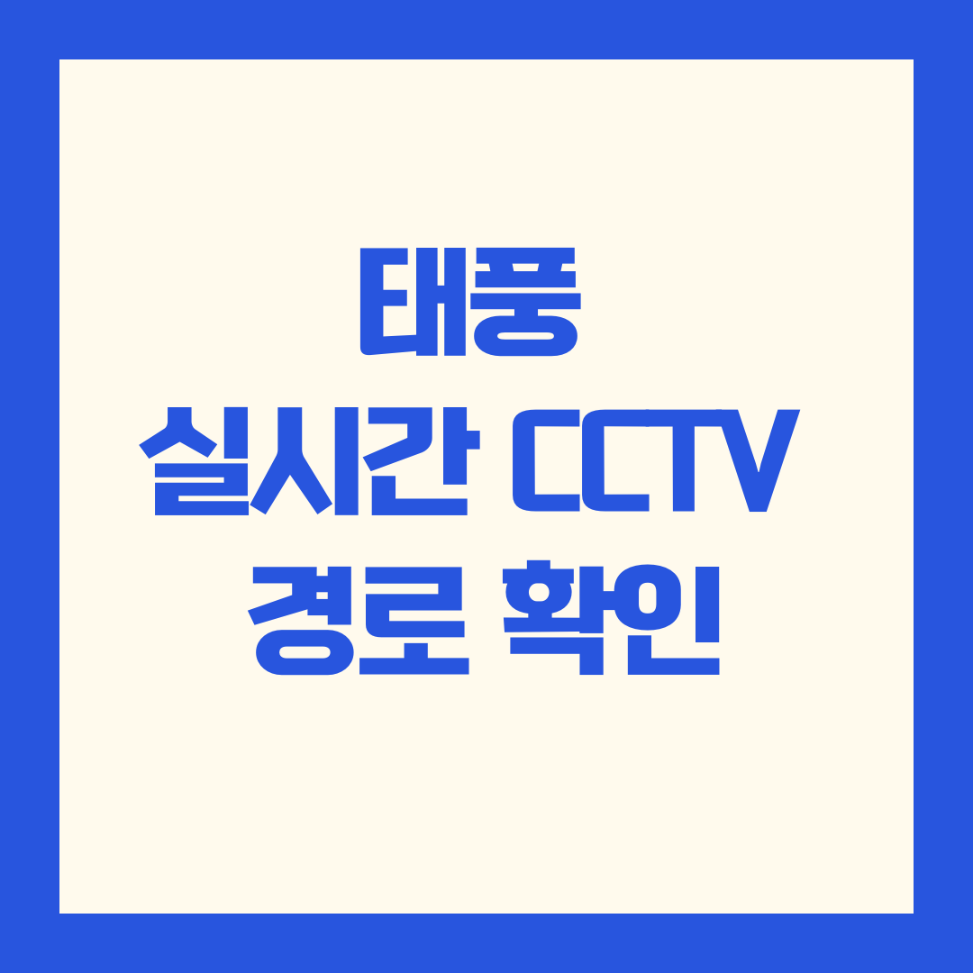 태풍 실시간 CCTV 경로 확인