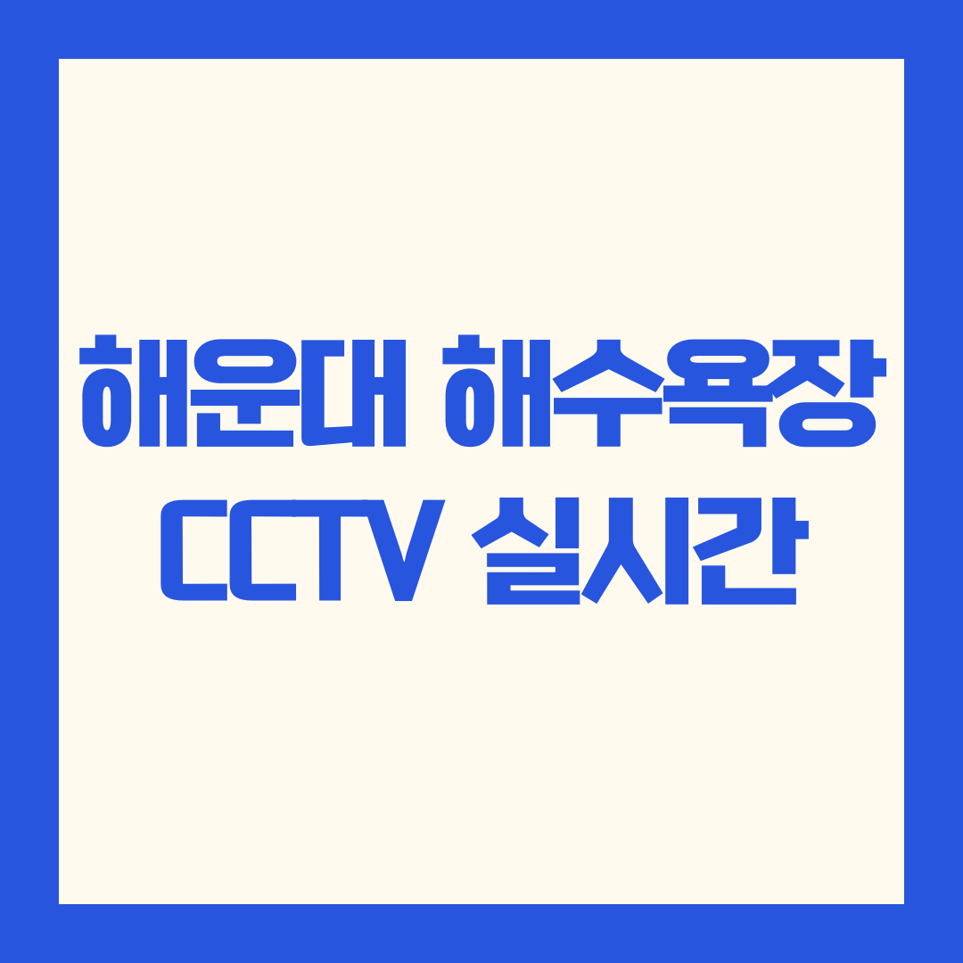 해운대 해수욕장 CCTV 실시간