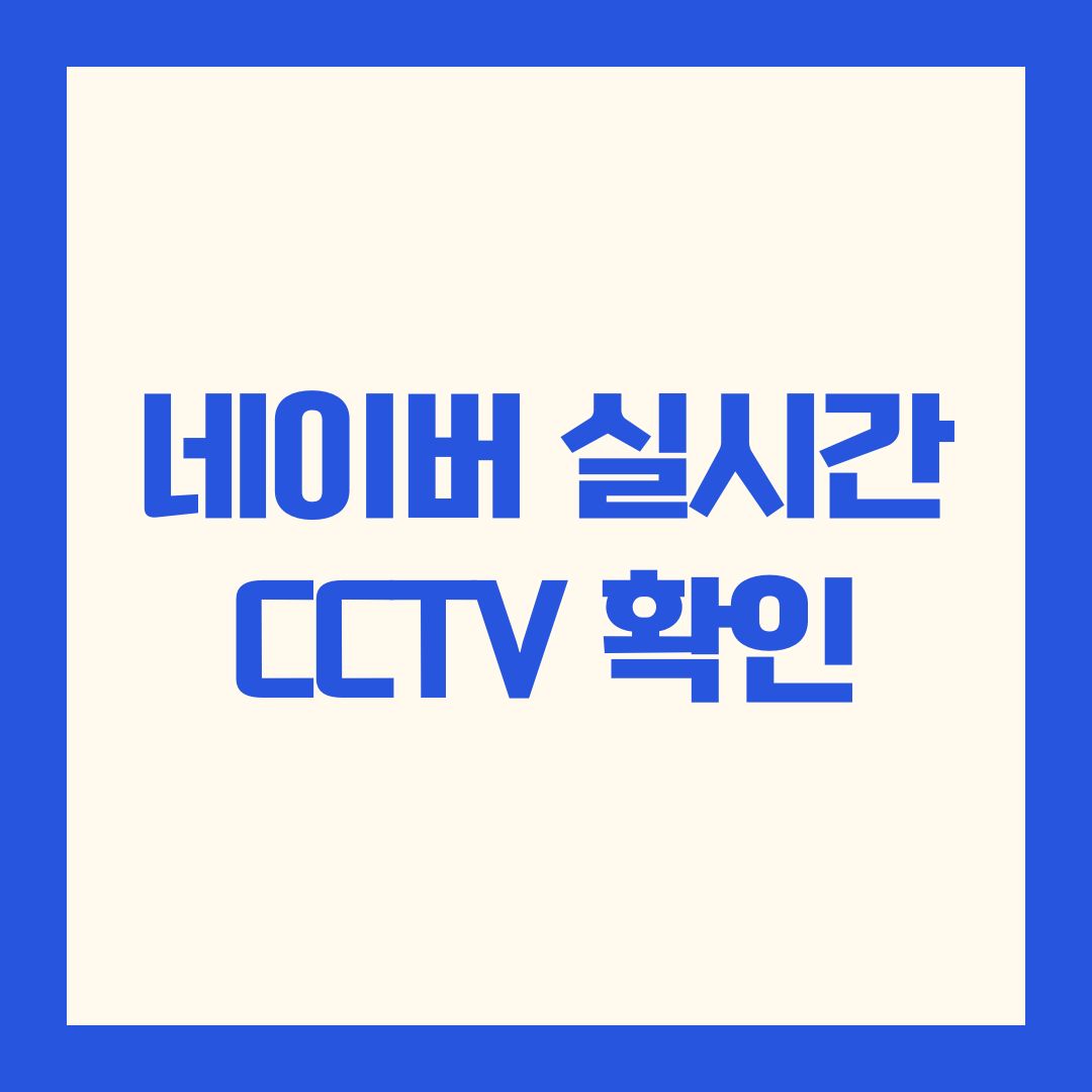 네이버 실시간 CCTV 확인