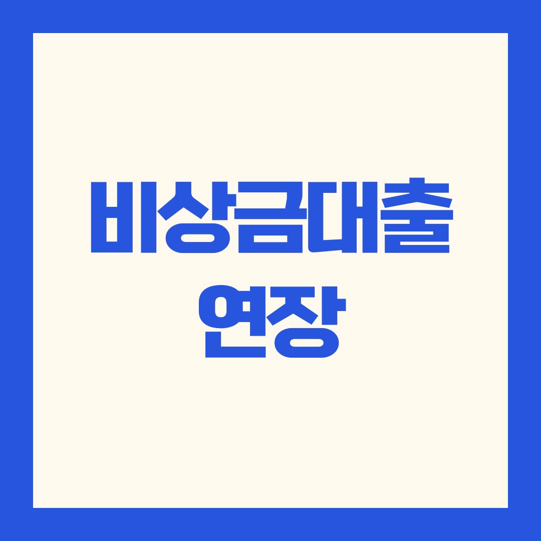 비상금대출 연장