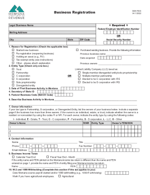 Same day taxpayer worksheet: fill out & sign online