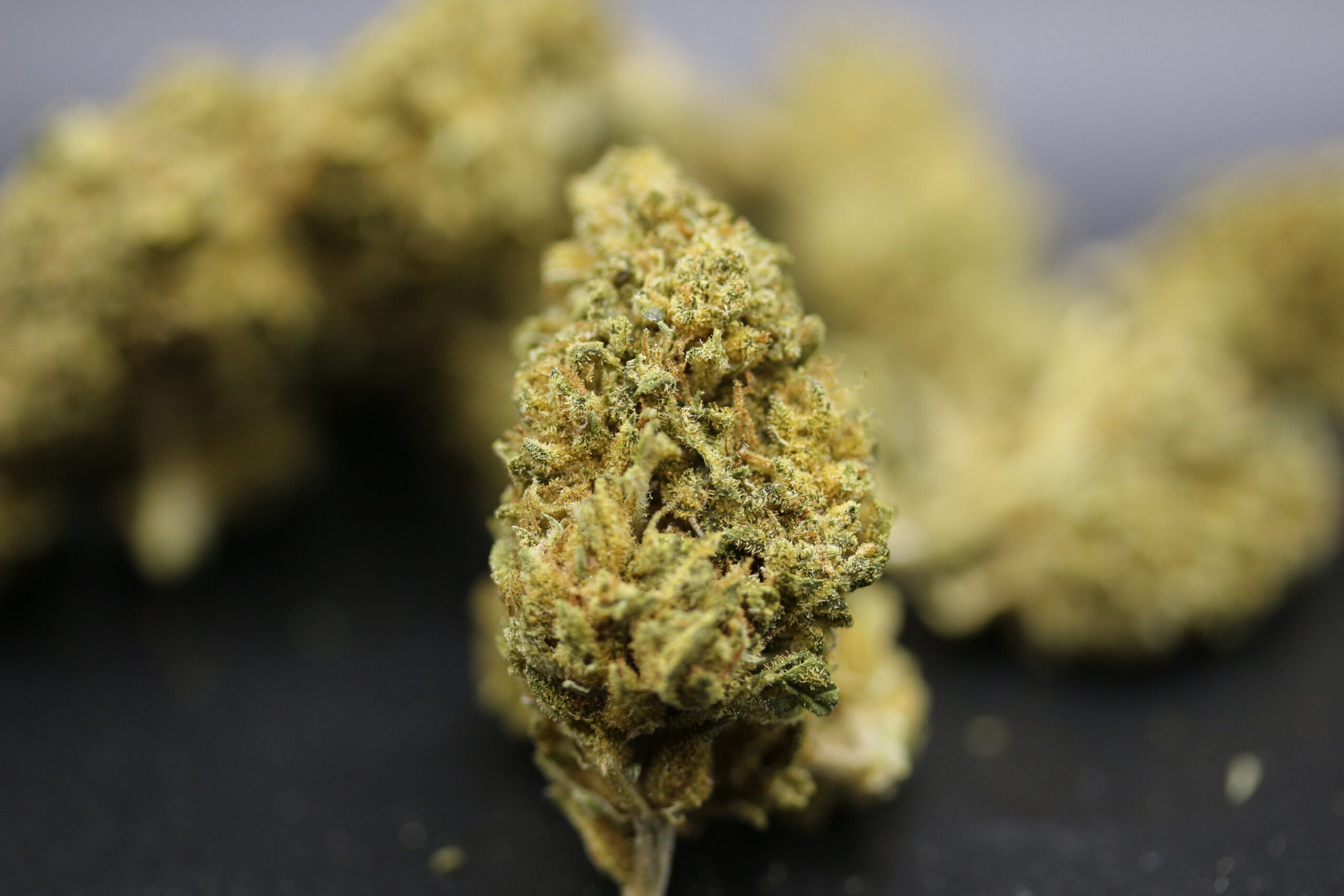 Ascend Cannabis Dispensary