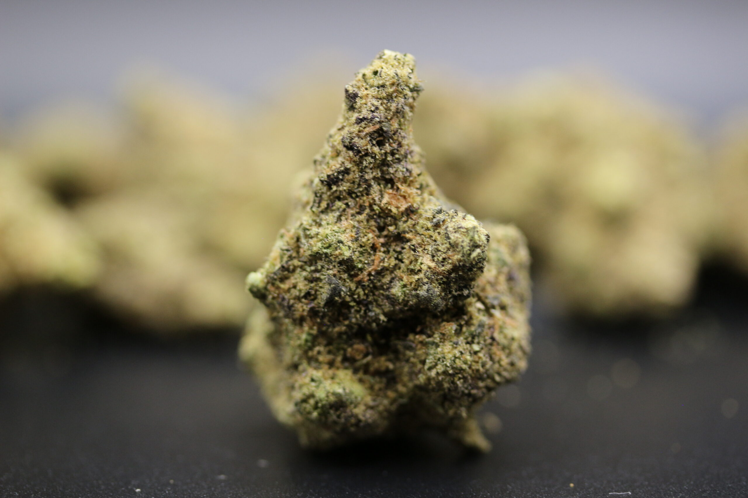 Ascend Cannabis Dispensary
