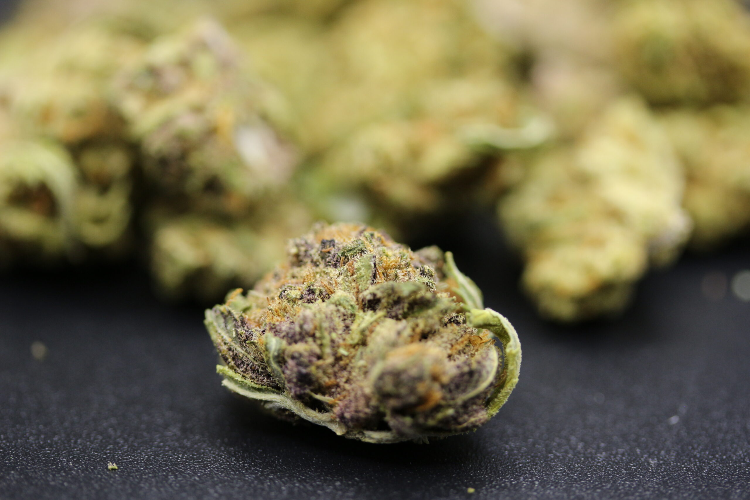 Ascend Cannabis Dispensary