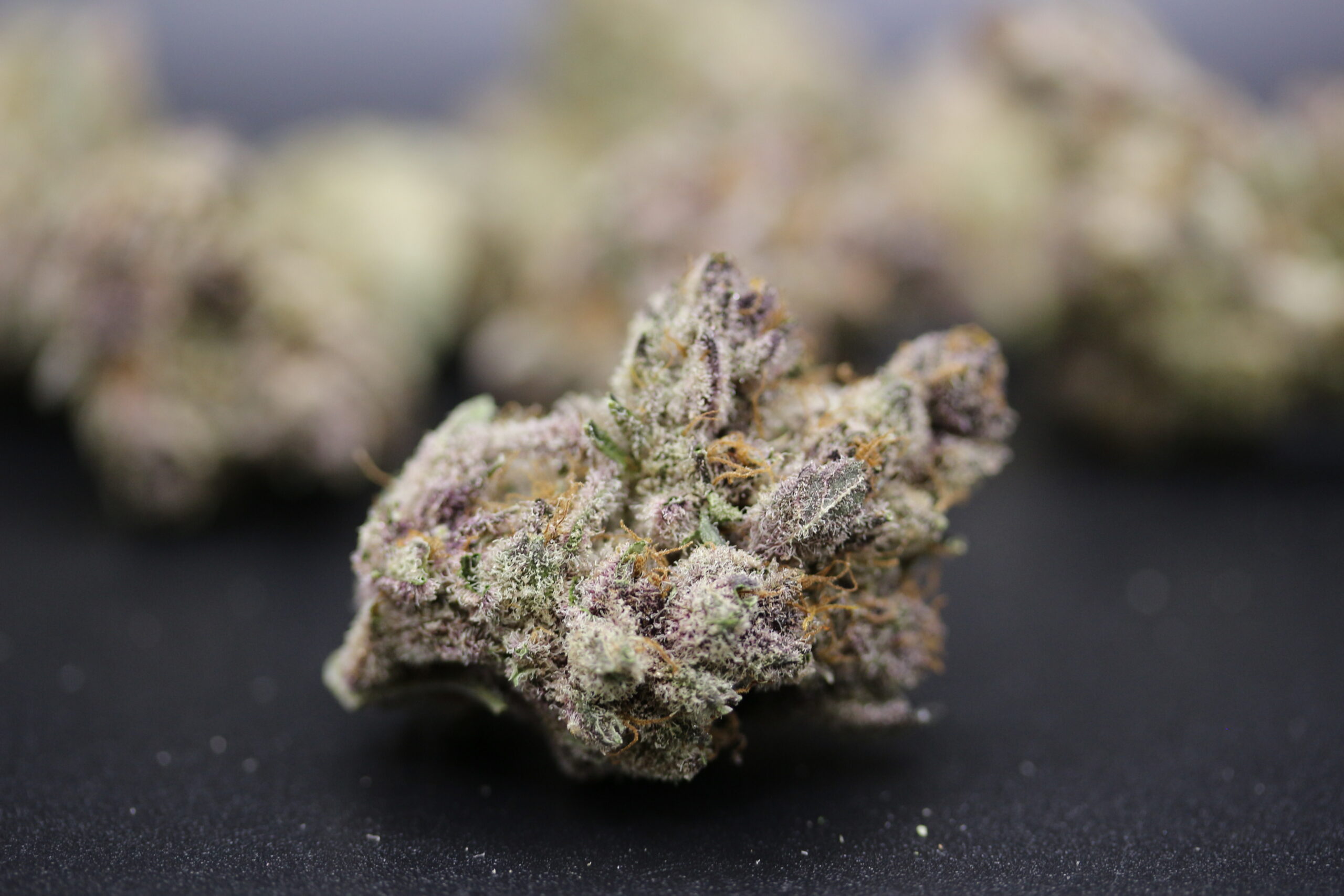 Ascend Cannabis Dispensary