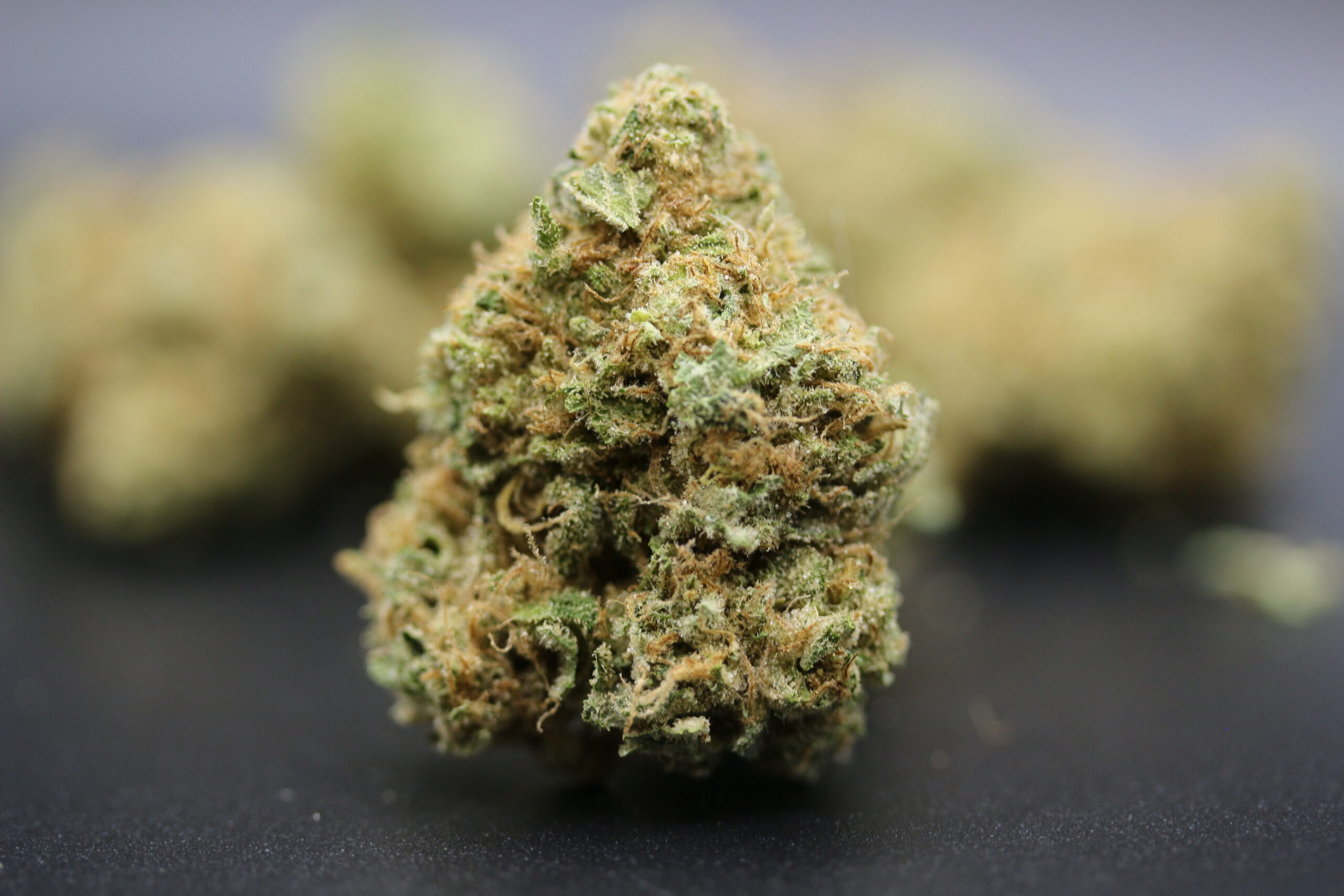 Ascend Cannabis Dispensary