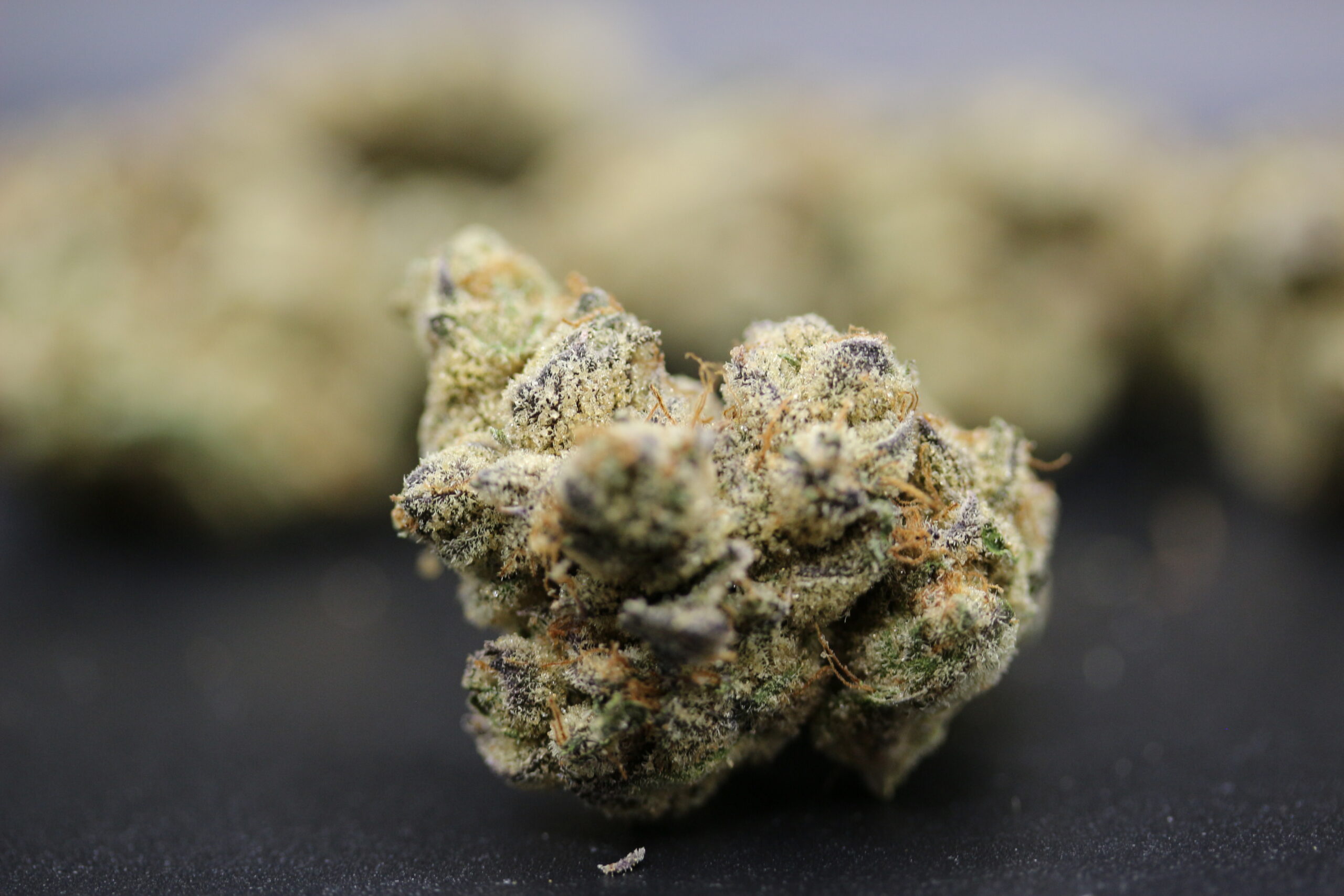 Ascend Cannabis Dispensary