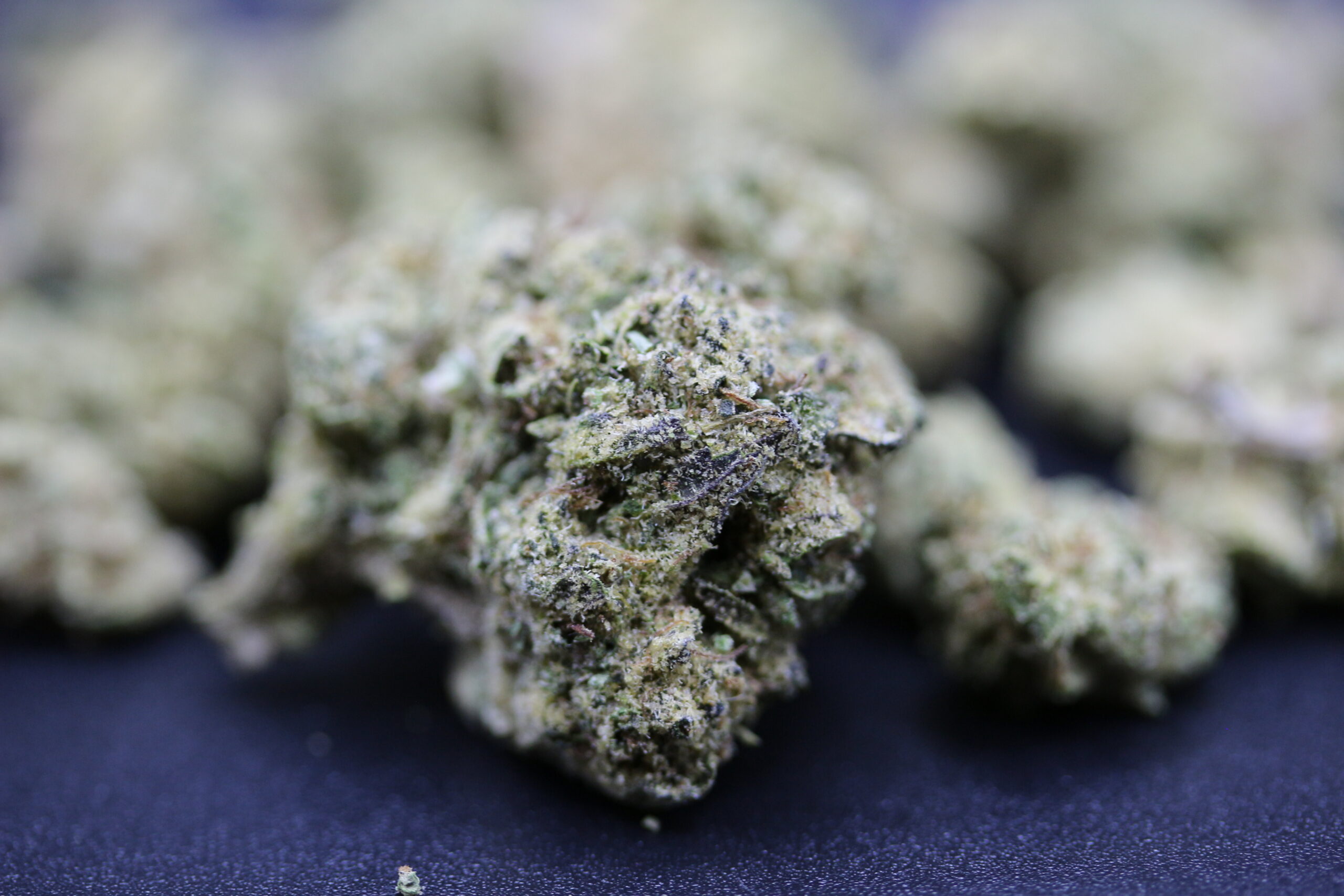 Ascend Cannabis Dispensary