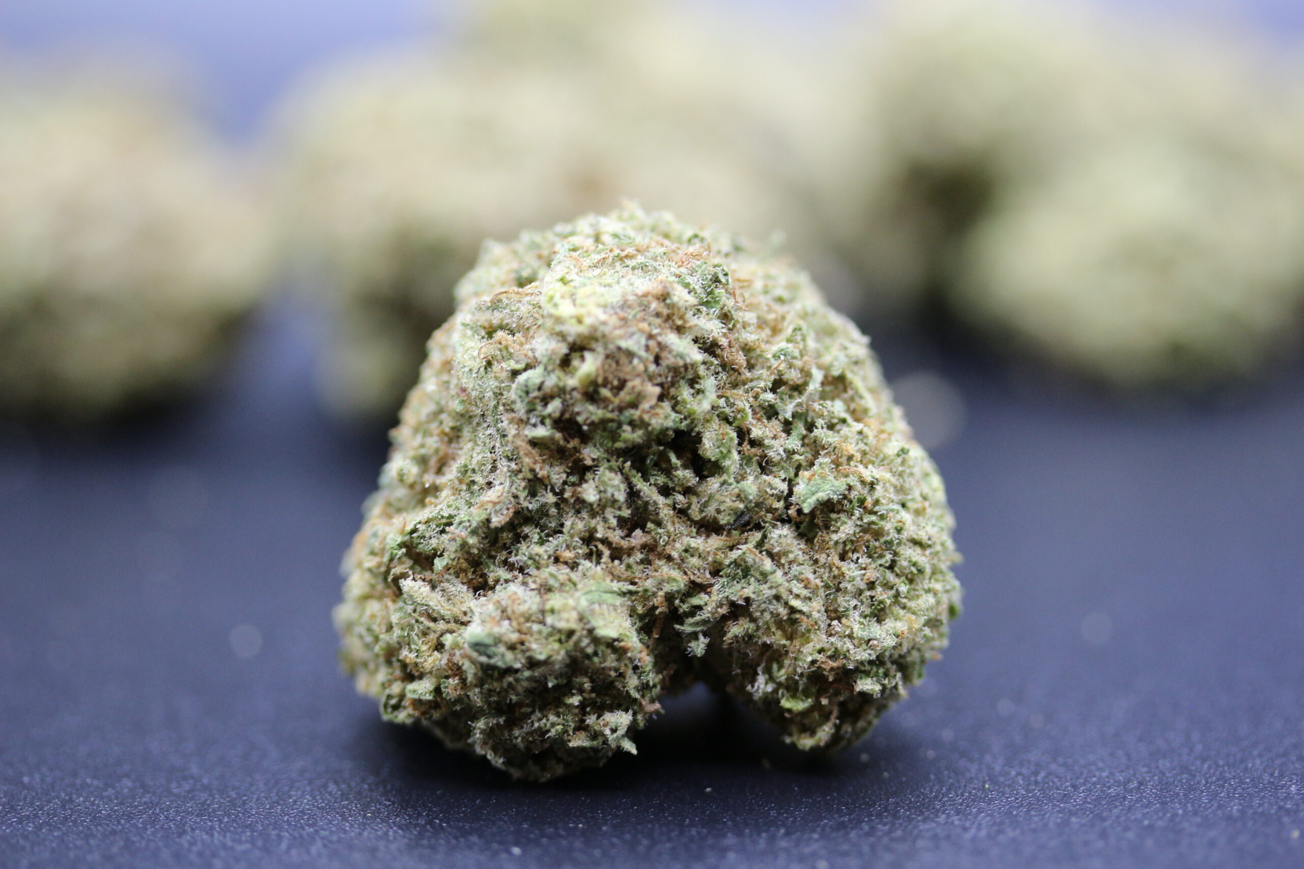 Ascend Cannabis Dispensary