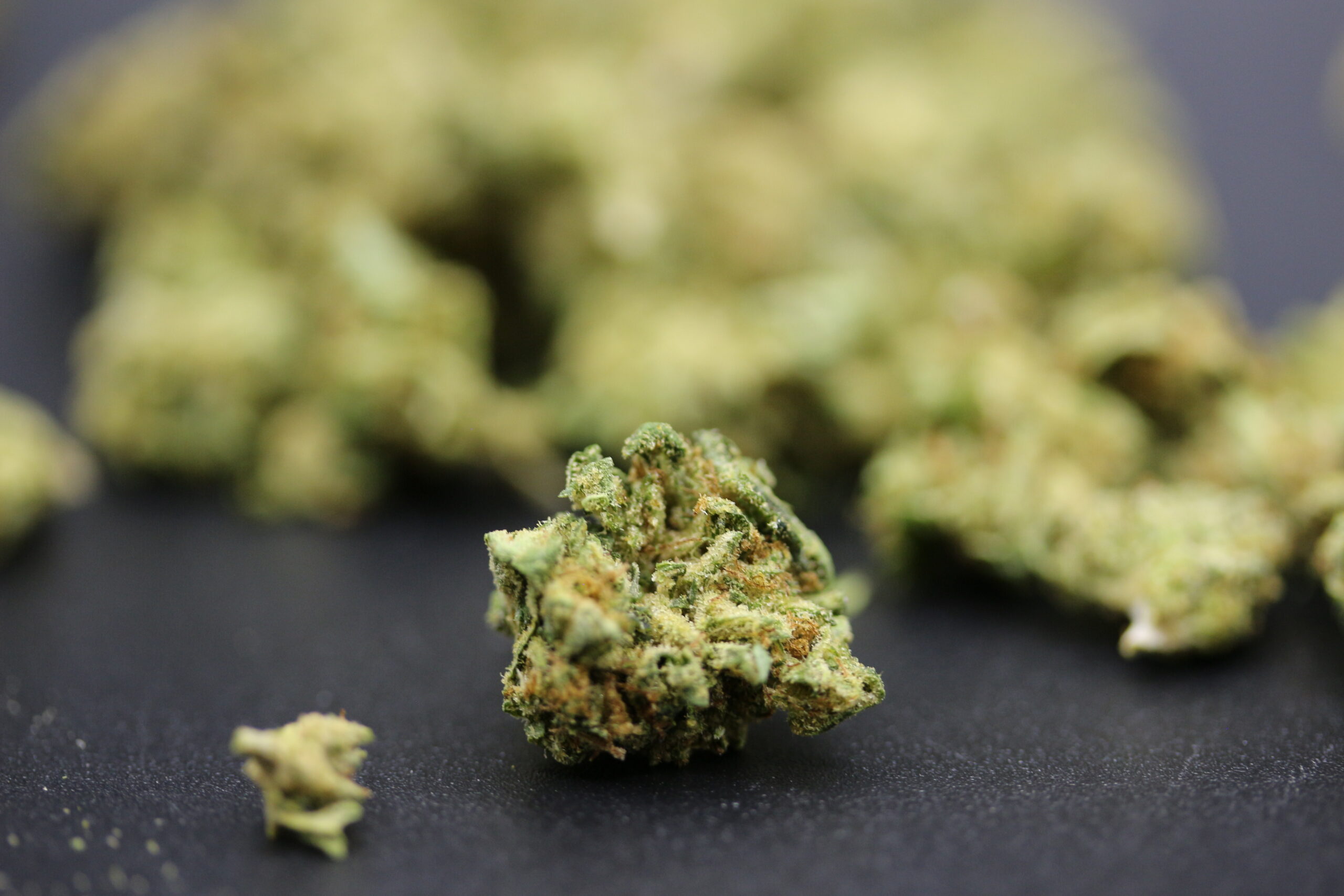 Ascend Cannabis Dispensary
