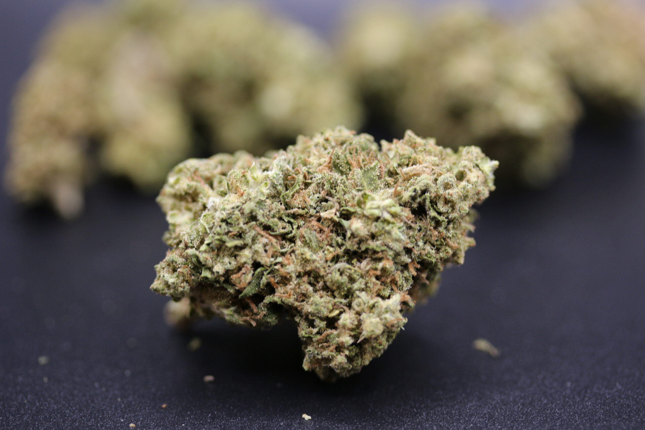 Ascend Cannabis Dispensary
