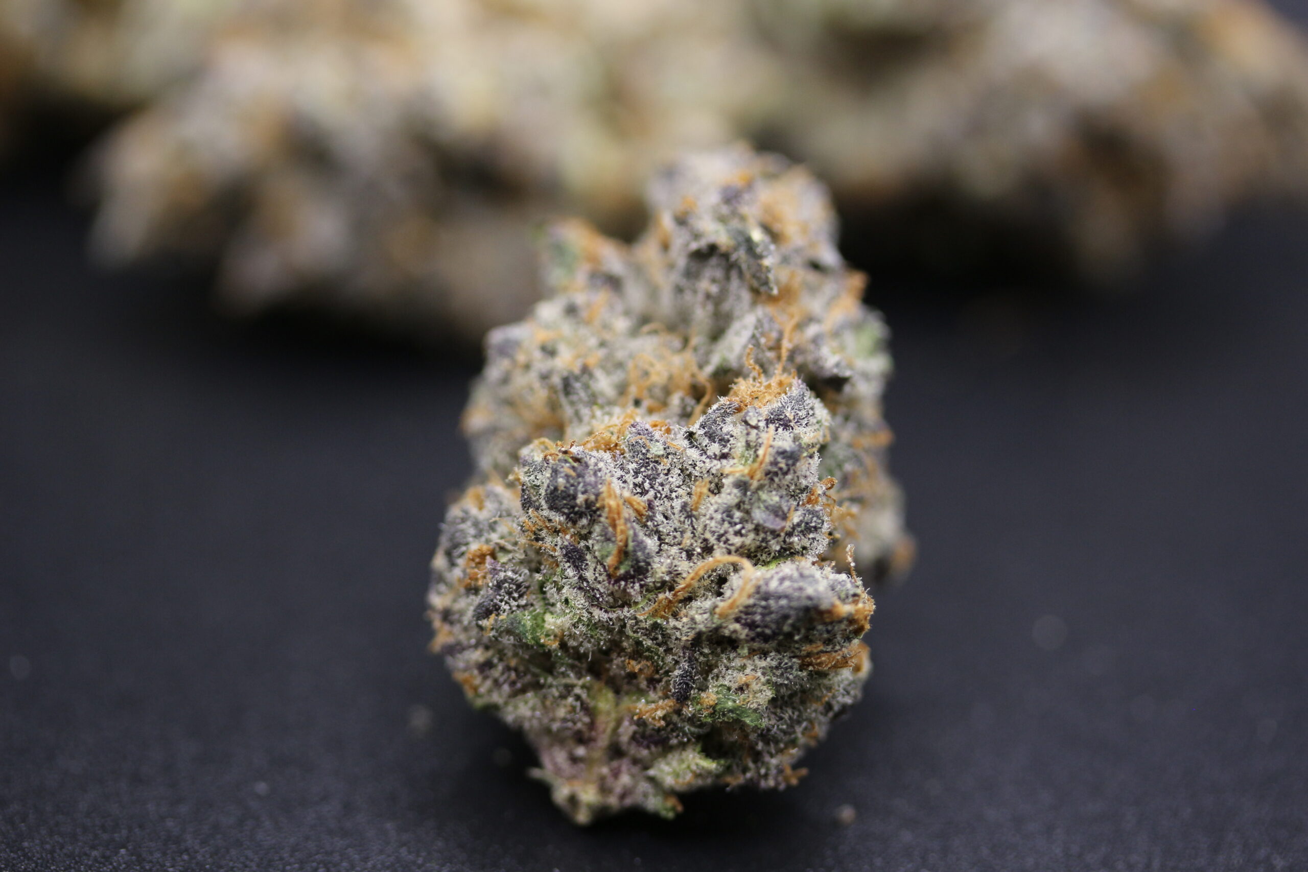 Ascend Cannabis Dispensary