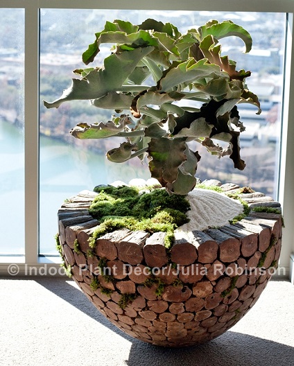 Join our host michiel perry as she invites some her favorite chefs over to build a. Virtual Book Tour For Indoor Plant Decor Plus A Bonsai Tool Set Giveaway Digging