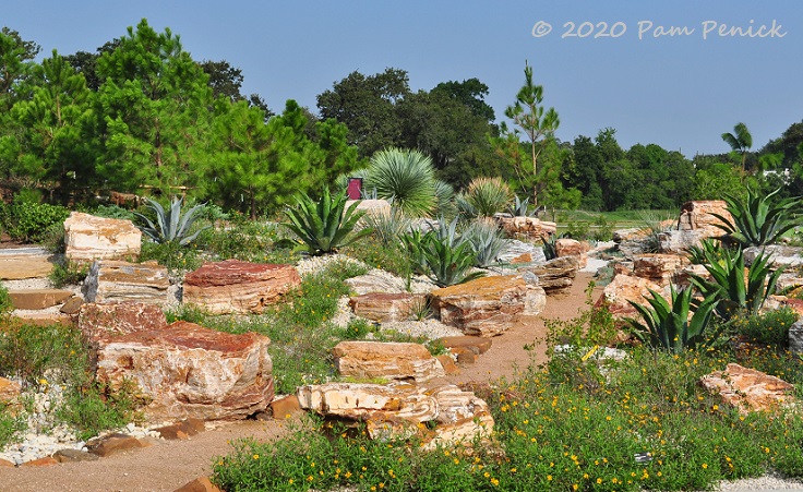 Learn how to plant a cactus container garden with the pros at hgtv.com. Houston Botanic Garden S Surprising Cactus Garden And More Part 2 Digging