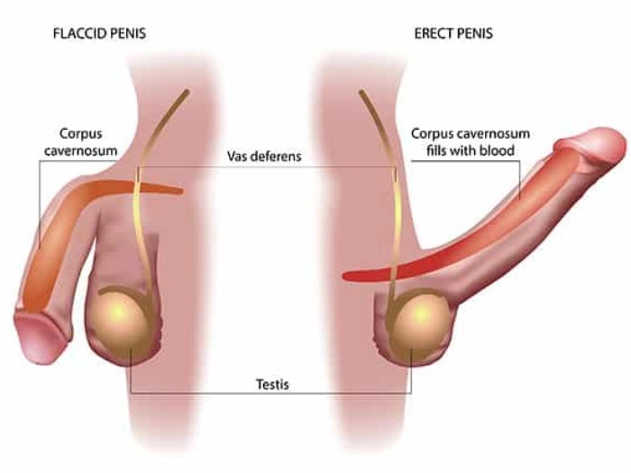 Erectile Dysfunction Treatment before after in abu dhabi