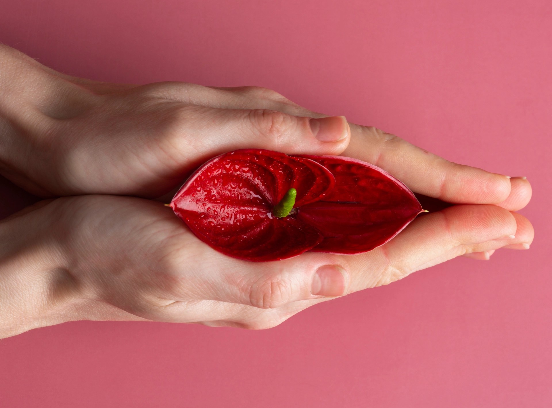 Labiaplasty Recovery Week By Week Timeline And What To Expect
