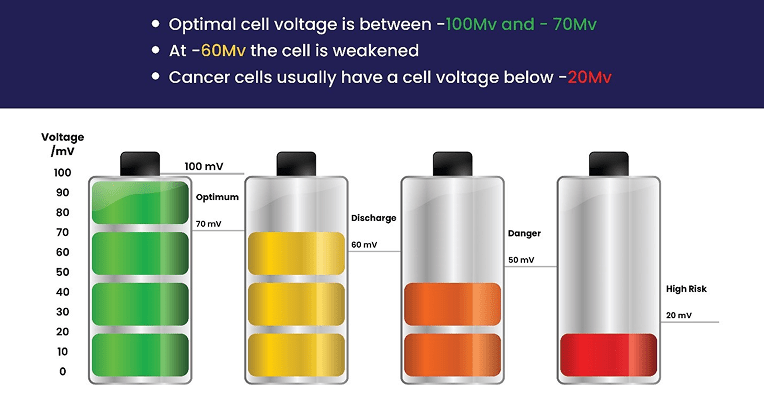 Battery Stays Drained