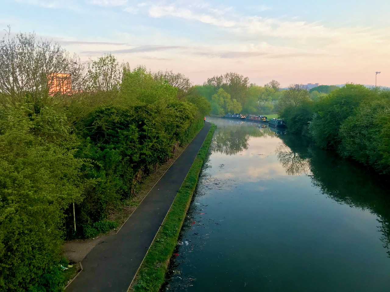 Paradise Fields at dawn. Perivale Park London