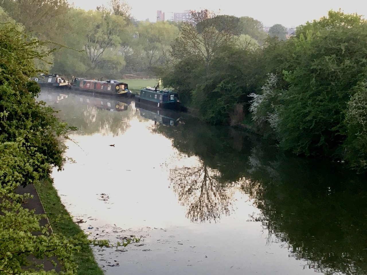Paradise Fields at dawn. Perivale Park London