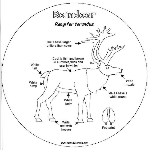 Brewdolph The Red Nosed Reinbeer Song Lyrics PRACTICE FOR STINSON STAR CHOIR.