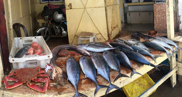 pescaderia