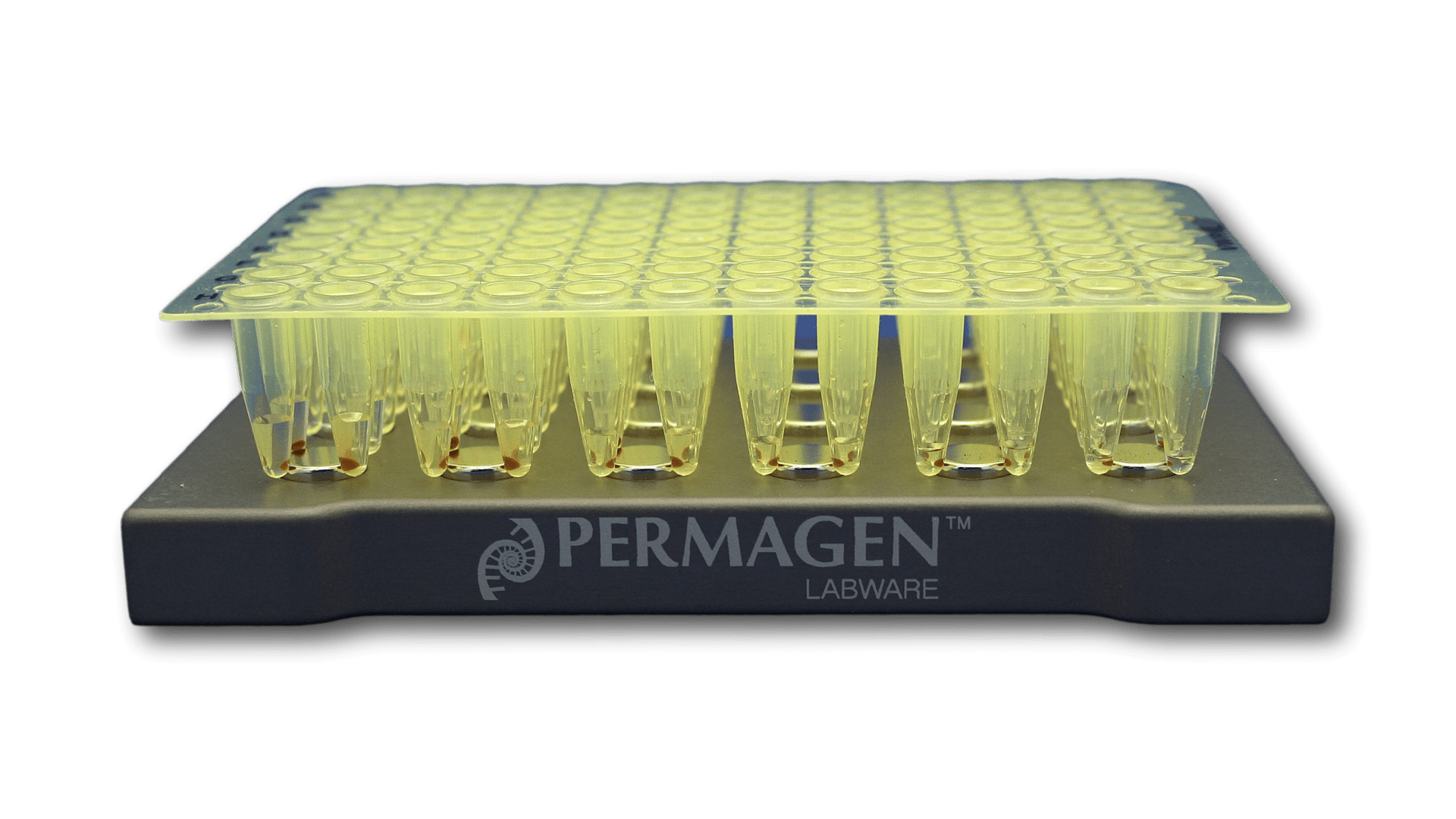 Magnet Plates with Integrated Cushion Base – Permagen Labware