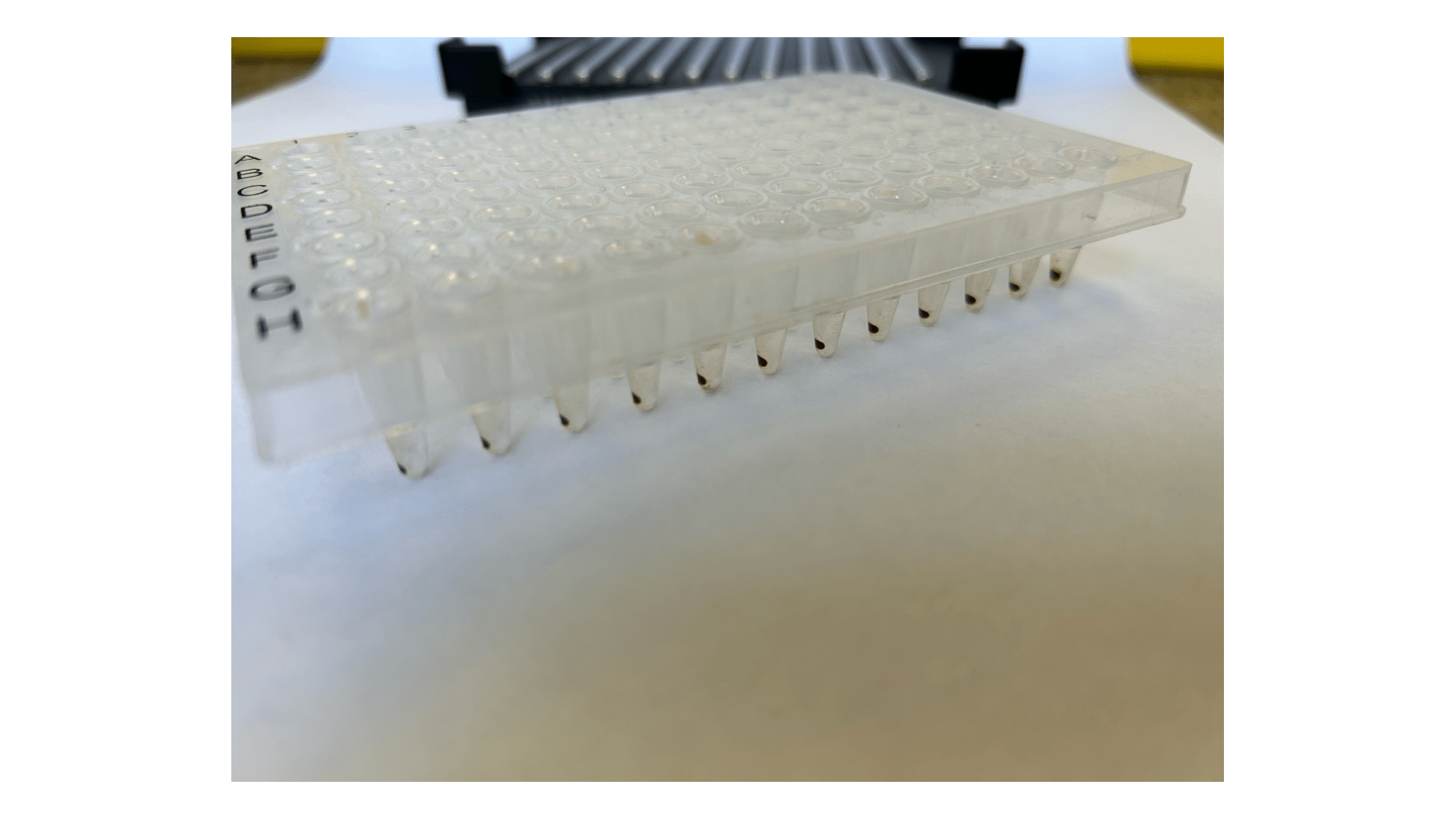 Beads separated using Permagen's Xle PCR-96 magnet plate