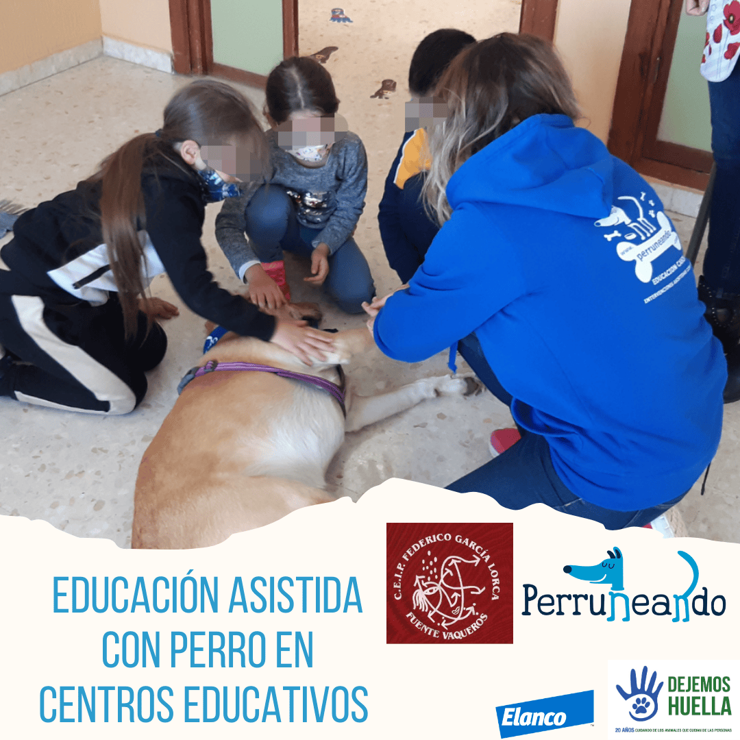 Programa de Educación Emocional asistido con perros Perruneando Granada