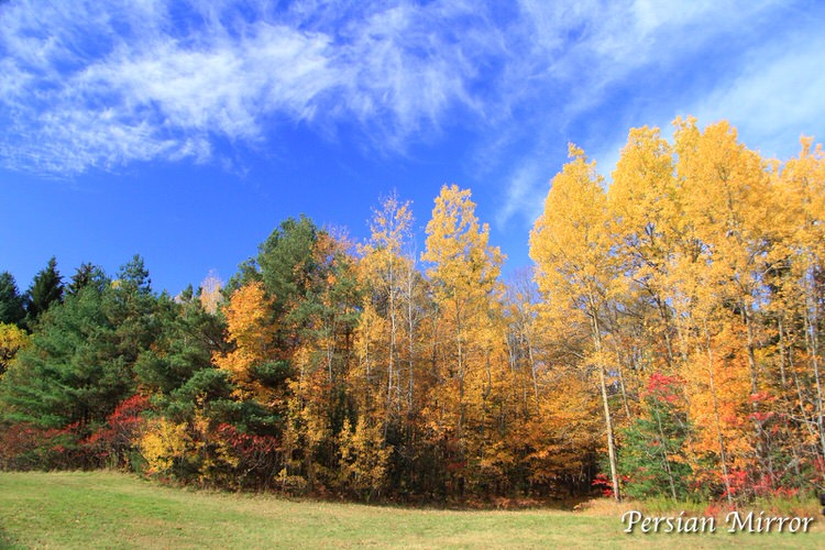 Ontario Fall