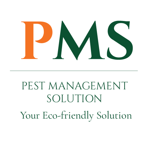 Premier Eco-friendly pest control services in South Florida. Licensed, insured, and committed to eco-friendly solutions for your home and business.