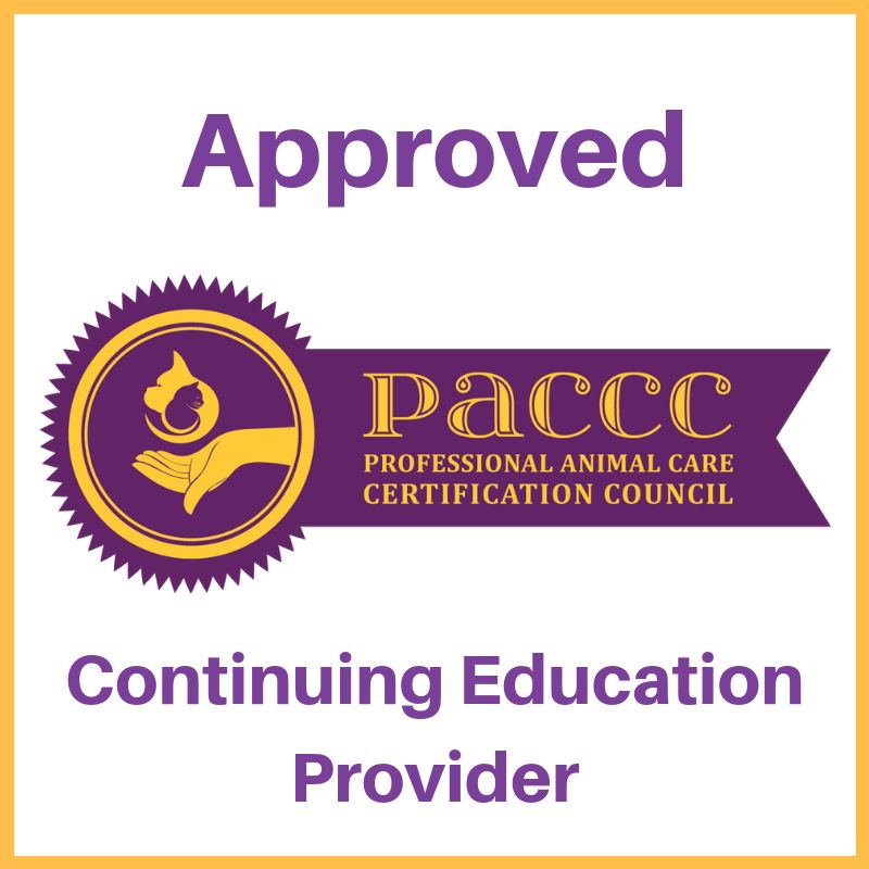 Pet Emergency Academy Educating People For The Good Of Animals - Ultra HD City Textures for Desktop