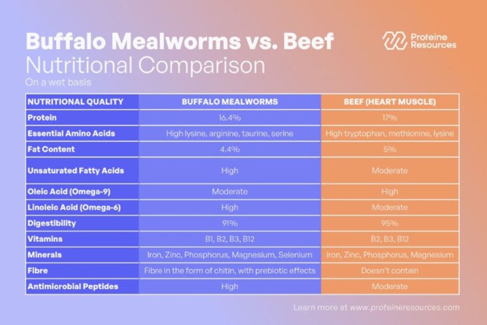 030625_Proteine Resources beef substitute_Embedded.jpg