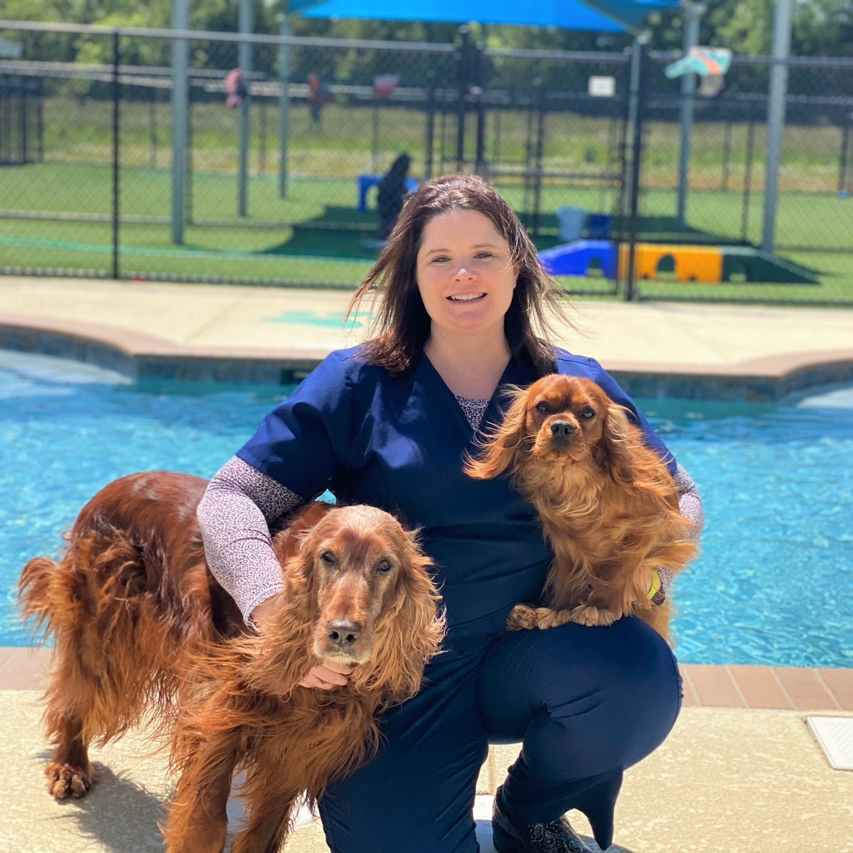 mooresville veterinary clinic vaccines routine exams surgeries wellness plans pet paradise on pet paradise mooresville nc 28117