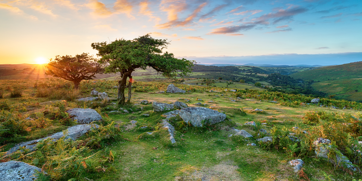 Dartmoor National Park