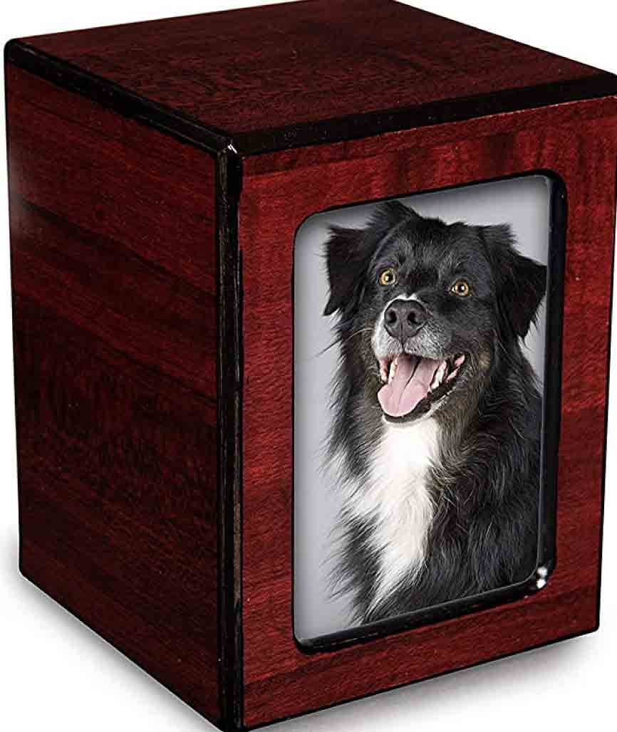 Pet Ashes Keepsake Ideas {JewelryNecklace}