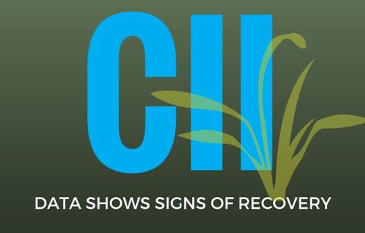 CII Data shows signs of green shoots in the Indian economy