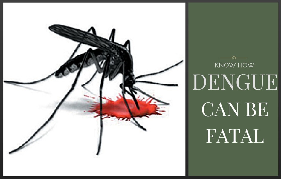 Dengue & why it can be fatal
